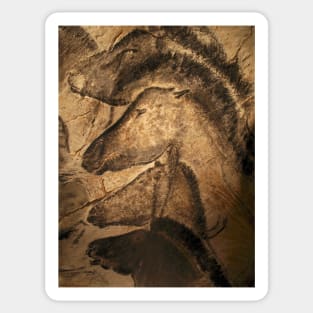 Stone-age cave paintings, Chauvet, France (C009/7646) Sticker